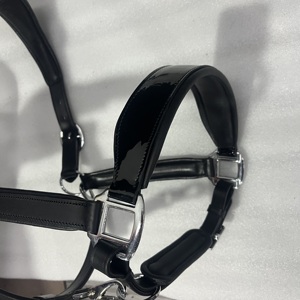 Harnais pour cheval en cuir véritable de qualité supérieure, design personnalisé, taille et couleur ajustables, design durable, AL RAHEEM ALR - Product Image 2