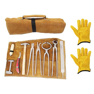Kit d'outils de soin des sabots pour chevaux, 9 pièces, ensemble professionnel de soins des sabots équins, équipement de ferrage durable pour le taillage et le nettoyage - Product Image 1