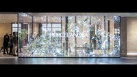 Écran LED transparent à haute luminosité, affichage sur vitrine, mur vidéo transparent LED pour magasin de détail