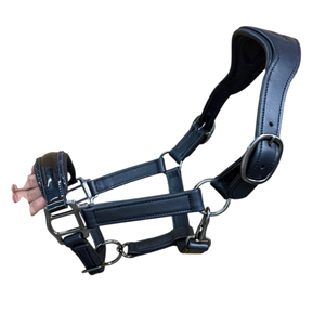 Équipement équestre de haute qualité en cuir de vache souple teint en tambour, pour écurie : Licol, têtière et selle australienne - Product Image 1