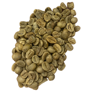Café Vert du Vietnam Dak Lak ARABICA Grains Bruts Séchés en Vrac Calibre 16 18 - Product Image 1