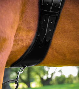 Standard Quality Italian Leather Horse Equipment Construction Horse Girth With Specifically Designed for Dressage Saddle - Product Image 3