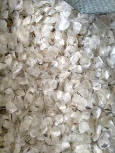 เครื่องชั่ง2024ปลานิลแห้ง100เปอร์เซนต์ - Product Image 5