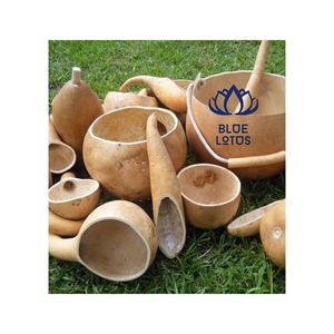 Bol en coquille de calebasse naturelle écologique disponible |   Bol de service artisanal durable pour le thé - Product Image 1