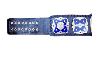 Trophée de ceinture personnalisé NOVERA INDUSTRIES pour la lutte, le Jiu-Jitsu, le karaté, le MMA, plaque dorée, design personnalisé, sangle réglable - Product Image 3
