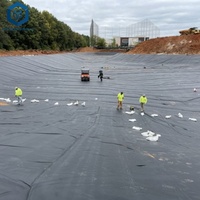 Barrière imperméable fiable, bâche de bassin en HDPE de 2 mm, feuille de géomembrane en HDPE, prix pour l'ingénierie des décharges municipales
