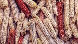 Briquetas de Madera Dura al por Mayor, Combustible de Biomasa Ecológico, Ahorro de Energía, Alternativa al Carbón Comprimido para Barbacoa y Calefacción, Alto Poder Calorífico - Product Image 3