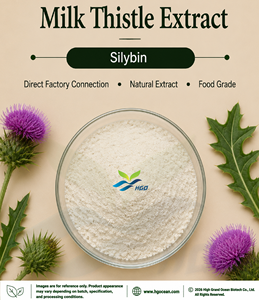 Approvisionnement direct d'usine HGO d'extrait de chardon-Marie naturel pur (qualité alimentaire) spécification Silybin 90% (extrait standardisé) - Product Image 1
