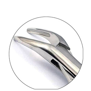 เครื่องมือสแตนเลสสตีลที่มีความแม่นยำสูง สำหรับการจับที่ละเอียดอ่อน ควบคุมการจับได้อย่างแม่นยำ และการใช้งานระดับมืออาชีพ คีมคีบขนาดเล็ก - Product Image 5