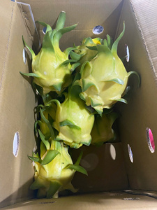 <span class=keywords><strong>Fruit</strong></span> du dragon jaune <span class=keywords><strong>de</strong></span> qualité export standard, frais, 100% naturel, OEM ODM, <span class=keywords><strong>fruit</strong></span> du dragon jaune <span class=keywords><strong>de</strong></span> haute qualité - Product Image 3