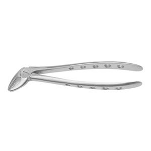 Pinzas Dentales de Color Dorado con Media Mango, Fáciles de Usar, Nuevas Pinzas de Acero Inoxidable para Extracción de Raíces Dentales - Product Image 6