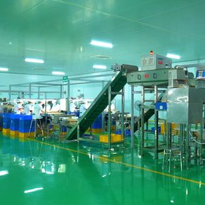 Hot Hữu Cơ ww240 ww320 Chất lượng cao Hạt điều hạt nhân nguyên brcgs 2024 nhà máy handimex 0084374074818 điều nutter giá thấp - Product Image 5