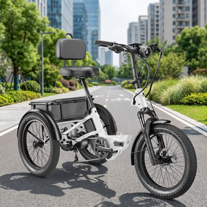Heavy-Duty Electric Trike – Full Suspension, Carbon Fiber Design, Smooth 12-Speed Ride - Product Image 2