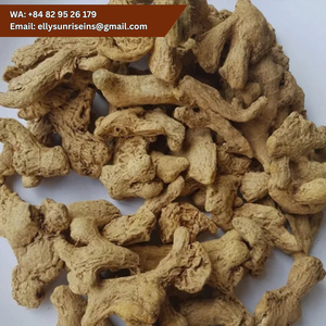 Jengibre en Rodajas Secas, Piezas de Raíz de Jengibre Crudas, Hierba Especiaria Individual, Ingrediente Natural Orgánico, 1 kg - Product Image 5
