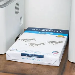 Usine En Gros Bas Prix A4 Copie Papier 1000 Béliers 80gsm papier d'impression Couleur - Product Image 3