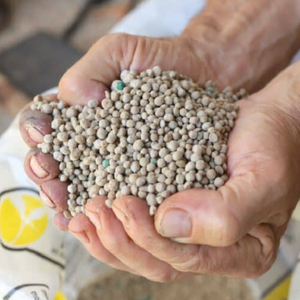 Gránulos de NPK de Flujo Libre para Sistemas de Pulverización, Fertilizante Granular NPK Premium para la Nutrición de Cultivos - Product Image 3