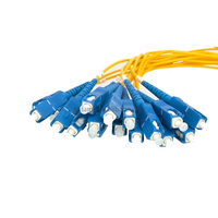 Damu 1x16 SC UPC Boîtier ABS PLC Répartiteur Optique Monomode en Cassette pour Réseau FTTH GPON 1310/1550nm