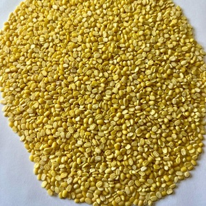 Moong Dal Indien Séché de Qualité Supérieure, Riche en Protéines, Ingrédient pour la Transformation Alimentaire et les Repas Nutritionnels, Approvisionnement en Vrac de 50 kg - Product Image 3