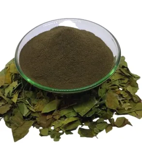 Extracto de Gymnema Sylvestre en Polvo 25 a 75 % de Ácido Gimnémico, Apoya un Nivel Saludable de Azúcar en Sangre y Ayuda a Reducir los Antojos por Azúcar - Product Image 1