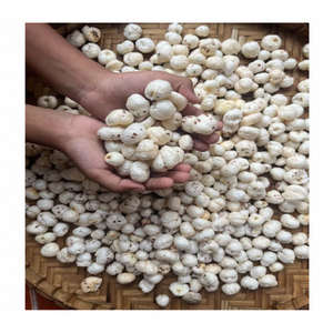 Makhana fraîche (Noix de lotus) pour la torréfaction et la préparation de desserts – Ingrédient premium pour collation à base de graines de lotus, texture légère - Product Image 1