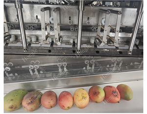 Máquina Peladora de <span class=keywords><strong>Mango</strong></span> de Cadena Totalmente Automática de 1000 Piezas/Hora para Plantas de Procesamiento de Alimentos, Adecuada para el Procesamiento de Frutas - Product Image 6
