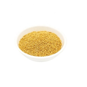 Semi di <span class=keywords><strong>Senape</strong></span> Gialla Regolari e Micro Sortex, Puliti, Senza Neri e Rossi, Purezza 99,7%, Umidità Massima 8%, per Uso Agricolo - Product Image 3