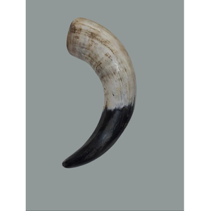 Corne à boire viking sculptée polie, écologique, capacité 500 ml, corne authentique originale pour bière et hydromel par HANNAN HANDICRAFT - Product Image 1