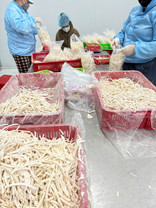 Cubes de racine de taro surgelés de haute qualité pour la transformation alimentaire et la distribution au détail - Product Image 5
