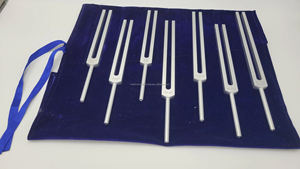 Ensemble de 7 diapasons chakra en aluminium pour instruments de chirurgie générale, certifiés CE, modèle Medivolve 600294, fournisseur en gros - Product Image 4