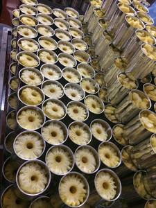Provide Vietnamese <b>Canned</b> Pienapple With the Best Price/ Ms. Lima - Product Image 2
