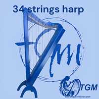 Harpe à leviers de grande taille à 36 cordes avec étui et clé de réglage, style vintage élégant, motif floral, instruments de musique, harpes