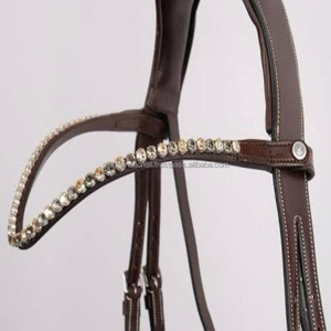 Banda para la frente de cuero de caballo de una sola fila hecha a medida, cristales brillantes multicolores, diamantes de imitación, banda decorativa para la frente de montar - Product Image 1