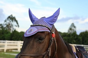 Horse <b>Fly</b> Bonnet, Breathable Crochet Ear Bonnet with Stretch Comfort Ears, Contoured Fit for English Riding - Product Image 5