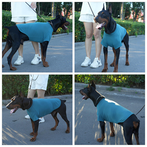 Wholesale Everyday Pet Clothes Blank Cotton Dog <b>T</b> Shirt Custom Logo And Size Pattern Puppy Vest Soft <b>Cat</b> Apparel Plain <b>T</b>-Shirt - Product Image 6