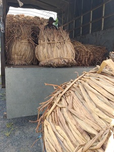 Usine au Vietnam, matière première naturelle en jacinthe d'eau, fabricant de fibres de jacinthe d'eau séchées, export en vrac - Product Image 5