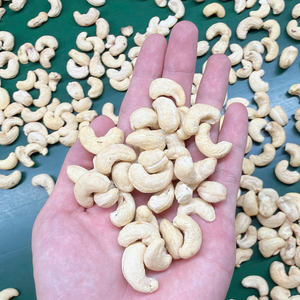 Cashew <b>Kernels</b> SANTIGO Cashew <b>Nuts</b> Custom Service Available Kaju In Bulk <b>Nuts</b> <b>Kernels</b> - Product Image 6