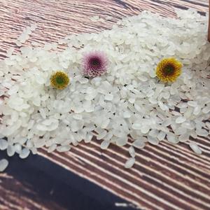 ข้าวอบแห้งญี่ปุ่น5% คาโมลิโนกาขนาดกลางของแท้เนื้อแข็งสีขาวบริสุทธิ์แบบพรีเมี่ยมอาหารจากเวียดนาม - Product Image 3