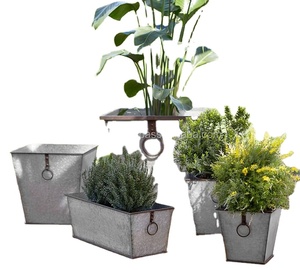 Jardinières galvanisées pour jardin décoratif - Product Image 1