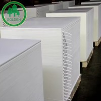 Papier LWC brillant 58gsm 60gsm 64gsm 70gsm 80gsm / Papier couché léger pour impression sur le marché brésilien