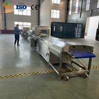 Machine entièrement automatique de recouvrement de biscuits au chocolat avec pulvérisateur de noix et tunnel de refroidissement pour la transformation de pâtisseries