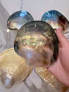 แผ่นเปลือกหอยมุกสีเหลืองหรูหราสำหรับทำเครื่องประดับ งานแฮนด์เมดจากเวียดนาม กล่องเปลือกหอย 99 GOLD DATA - Caryln (OO84935 825 297) - Product Image 2