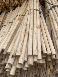 Escoba de madera de eucalipto de alta calidad, elegante, ecológica, duradera, ligera, portátil, impermeable, con cerdas suaves tipo bandera para un hogar limpio. - Product Image 3