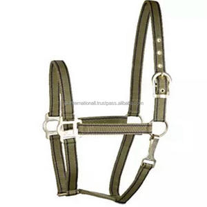 Custom Made 2 Tone Nylon Webbing Nylon Horse Halter in Many Colors & Custom Sizes Adjustable Brass Hardware and Accessories - Product Image 3