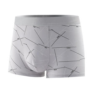 Calzoncillos bóxer de tiro medio para hombre, tallas grandes, estilo juvenil, pantalones cortos para niños, diseño estampado sin costuras con logotipo personalizado - Product Image 1