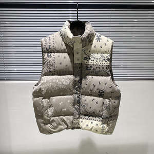 2024 Spring Down Vest <b>Men's</b> Fashion Casual Stand-up Collar Thickened Down Jacket Positioning Printing Vest - Product Image 2