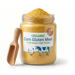 Harina de Gluten de Maíz para Alimentación Animal, 60% de Proteína, Grado Alimenticio, para Aves de Corral, Ganado Vacuno, Suministro al por Mayor, Exportación - Product Image 4