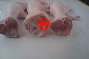 Patas de Pollo Congeladas, Limpias, Calidad Premium, Procesadas con Cuidado, Textura Natural, Ideales para Preparaciones Culinarias de Platos Tradicionales - Product Image 3