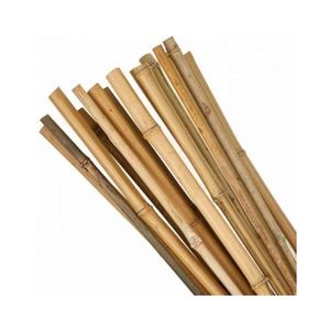 Estacas de Bambú de Alta Calidad, Precio Económico al por Mayor, Postes Rectos Resistentes y Duraderos, Suministro a Granel de Fábrica Premium - Product Image 1