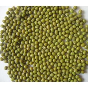 Frijoles Mung Verdes Orgánicos de Calidad Sortex, Sin GMO, Forma Redonda, Secos, en Empaque a Granel, 100% Puros - Product Image 3