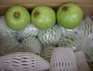 Goyave congelée la plus vendue pour la crème glacée de dessert de boisson de nourriture à un prix abordable - Product Image 5